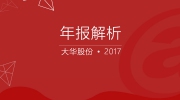 大華股份2017年報解析：保持高增長精準投入未來