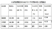 2023年上半年|挑戰與機遇并存 看海康威視、大華股份、千方科技市場發展如何